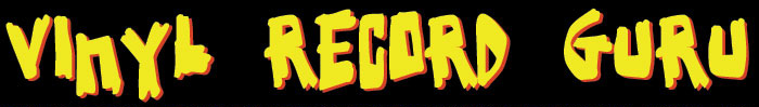 vinyl record guru